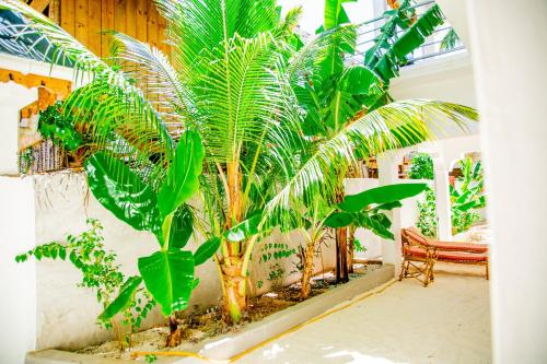 Pamoja Beach Stays Hotel in Jambiani - image 5