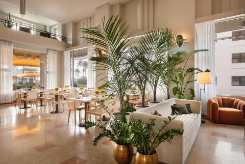 Winter Haven Hotel, Miami Beach - 레스토랑