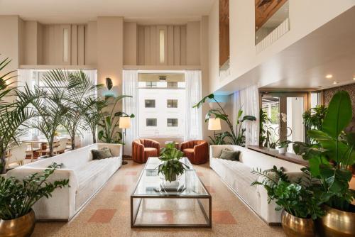 Winter Haven Hotel, Miami Beach - 로비