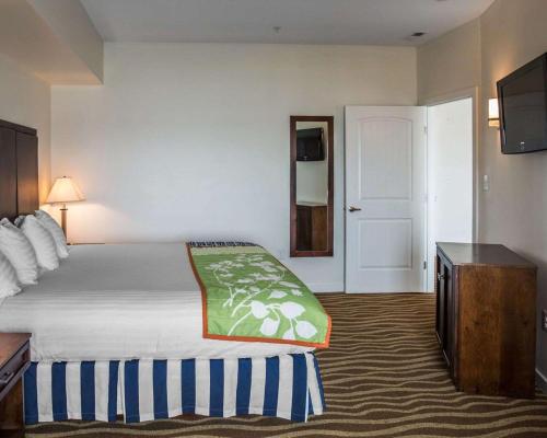 1 king bed