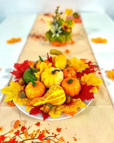 บริการและสิ่งอำนวยความสะดวก, Comfy stay in modern 2-bdr apartment near downtown in เอช เซอ อัลเซท