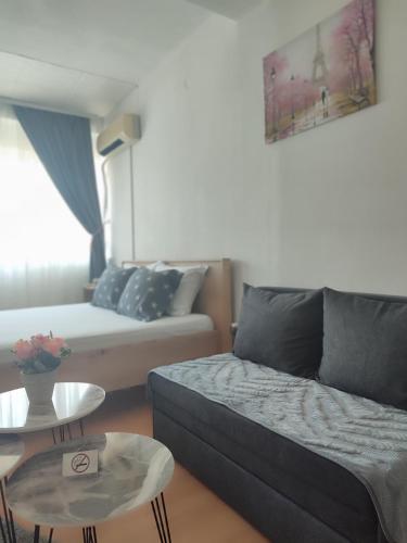 Happiness Apartment Skopje, Skopje (foto 8)