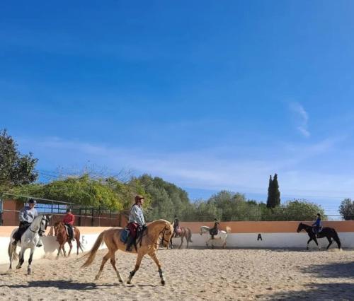 Finca Sa Sort Finca Sa Sort