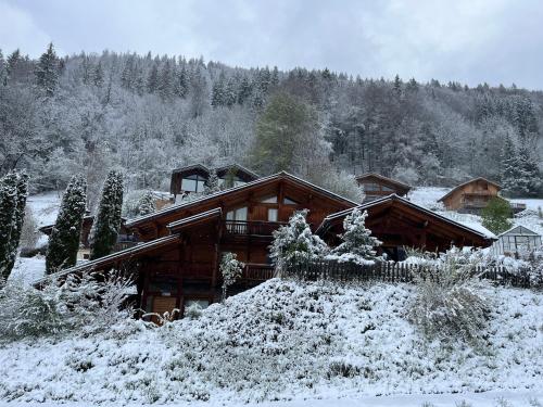 Chalet Mathilde - Morzine, Монрион