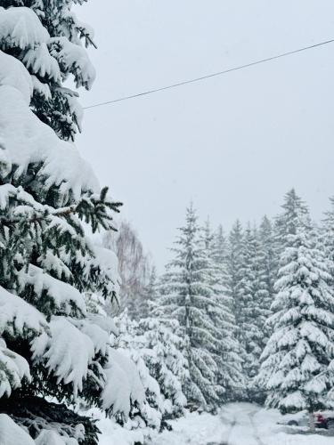 SunVilla - солнечная вилла - Poiana Brasov