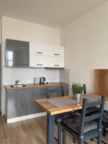 virtuve, Apartmán Vyhlídka Hamry (Apartman Vyhlidka Hamry) in Hojsova Straza