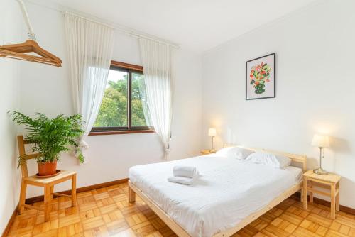 Bonfim Sunny Vintage apartment