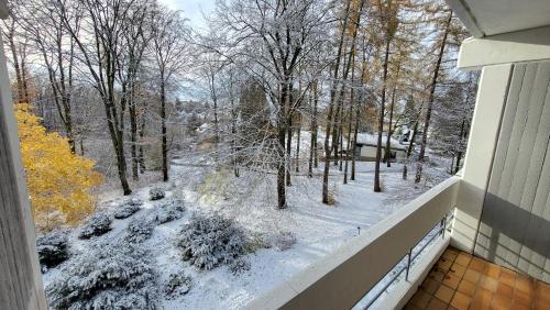 周邊環境, Ferienwohnung am Kurpark Ehlscheid in 埃爾沙伊德