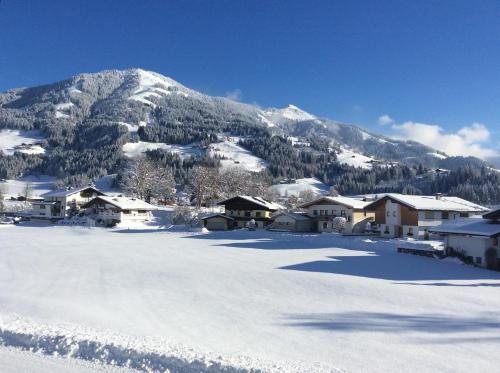 Bergblick 4