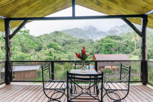 View, Hacienda Mil Bellezas - Private 40ha Jungle Reserve in Suburbs