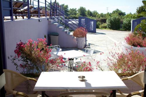 Studio with Garden View image 7