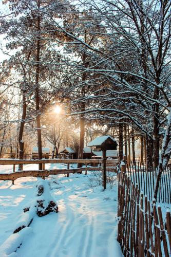 Eifelhüttchen Blaumeise (Eifelhuttchen Blaumeise) in Auderath