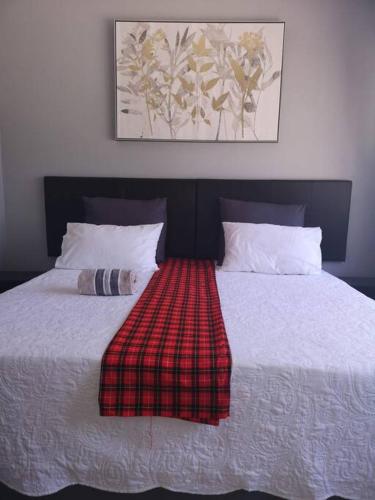 Selfcatering, Bloemfontein (fotografie 10)