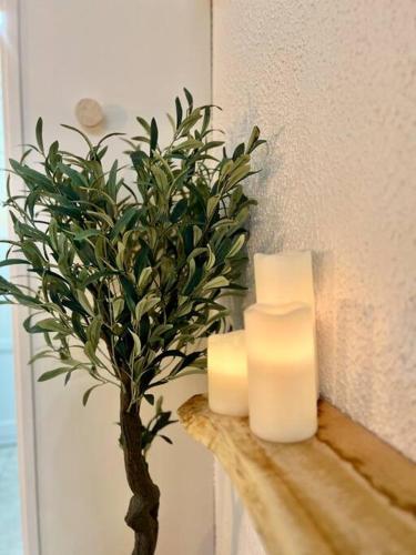 Suite Caraïbes 2 - Superbe Studio Cosy Vue Mer