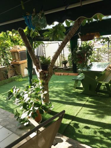 Kert, "aloe garden" in Kavala