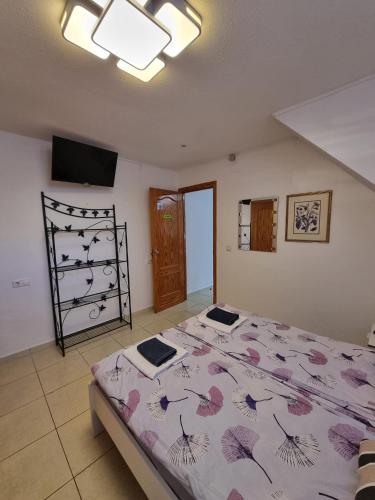 Cozy rooms in terraced house 2