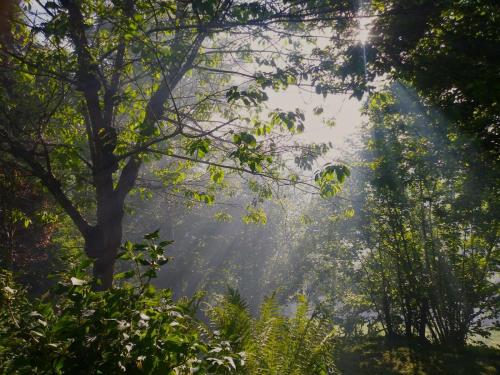 Casa en el Verde Valle in Sama De Grado