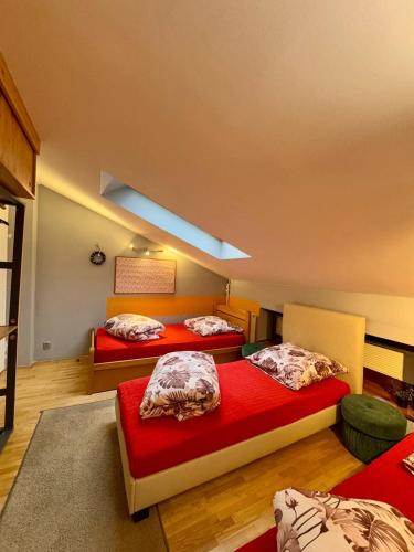 Vector Home Room Type - Single Bed in Female Dormitory Room