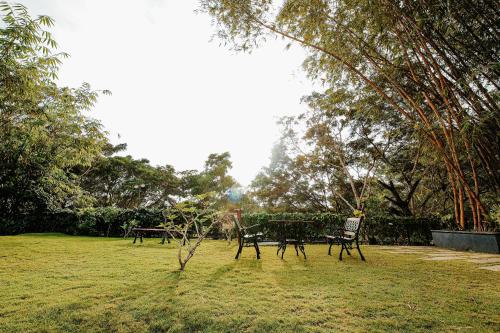 Avoki Resorts Avoki Resorts