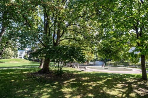 Sunny and quiet 1BR flat city center - Parkview 5, Curych (fotografie 10)