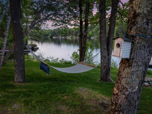 Lakefront Cabin 314 Shoreline in Washington, USA