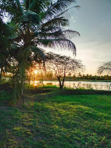 Apkārtne, Harmony Haven, Udawalawe, Sri Lanka in Sewanagala