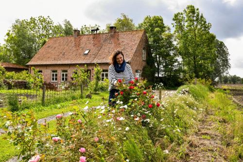 Cottage Moere in Koekelare
