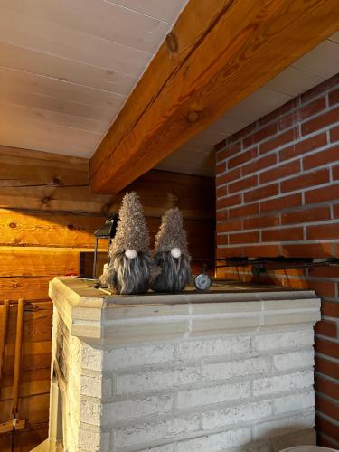Cottage with sauna, in the heart of the Tammisaari, Ekenäs (Tammisaari) (foto 9)