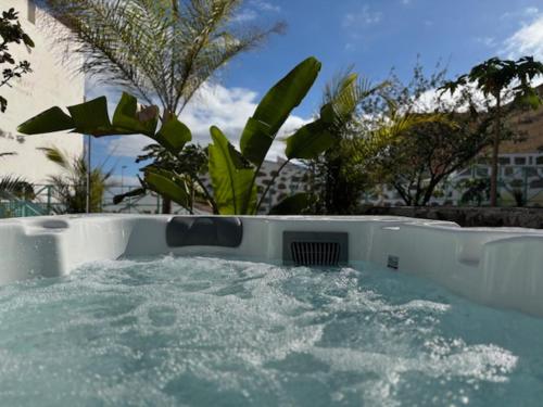 Hacienda de las Indias, Trinidad