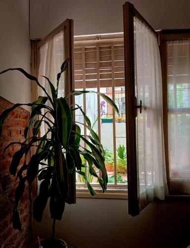 Single Room room in Habitación privada zona Centro Tribunales y Patio Olmos