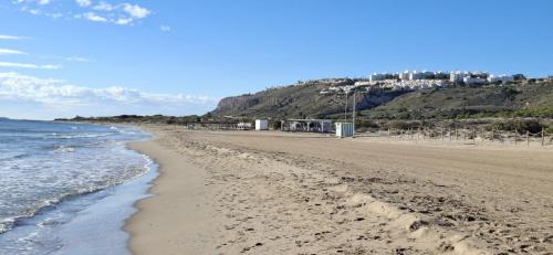Stay In Novamar II - image 2