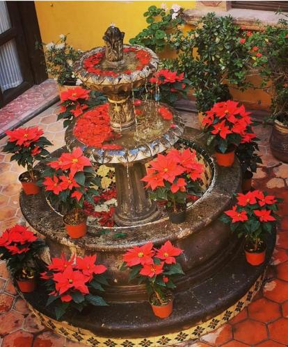 Casa Rosario Centro in San Miguel de Allende, Mexico