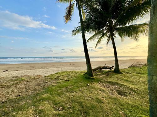 Esterillos Lote home Esterillos Lote home