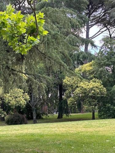 Boutique Apartment in the heart of Montecatini