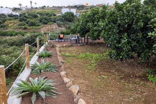 Casita Albornoz 5