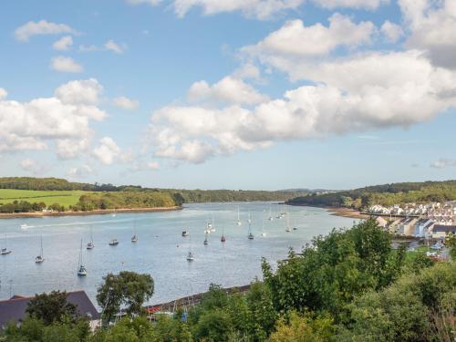 Penrallt Cottage - image 11