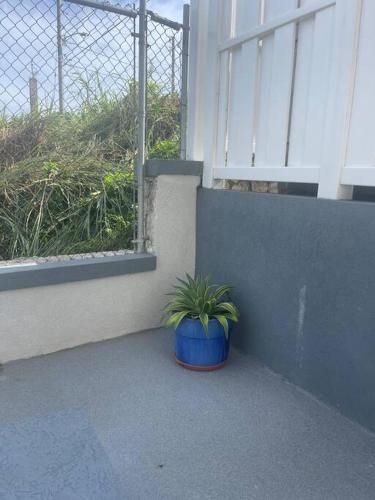 Idyllic escape in Mandeville