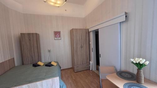 Studio in the heart of Sofia, Sofia (Foto 7)