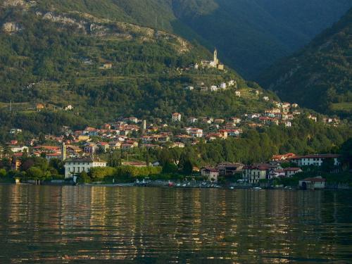 Il Grifo - image 9