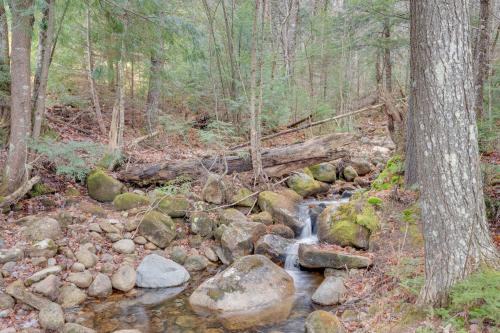 Cozy Bretton Woods Ski-InandSki-Out Condo with Deck! Cozy Bretton Woods Ski-InandSki-Out Condo with Deck!