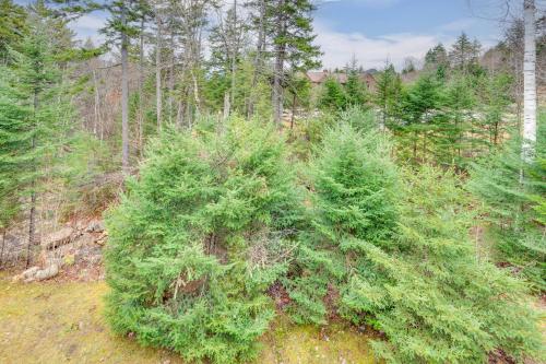 Cozy Bretton Woods Ski-InandSki-Out Condo with Deck! Cozy Bretton Woods Ski-InandSki-Out Condo with Deck!