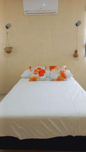 Casa Melipona in Mérida, Mexico
