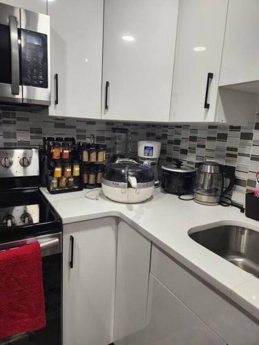 köök, Modern 2 Bedroom Basement Suite at West Edmonton in Acheson (AB)