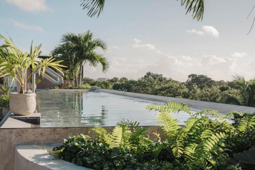 Séjour haut de gamme dans loasis verdoyante dAWA in Playa del Carmen, Mexico