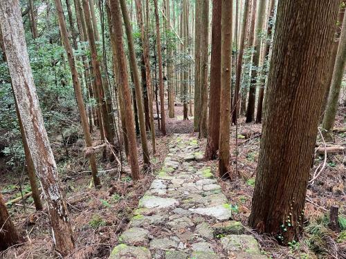 山の宿大樽風呂のたけのこ