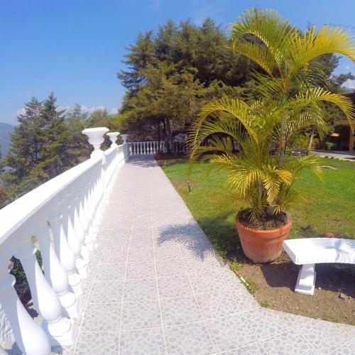 Murmullo de Piedra near Merida Cathedral