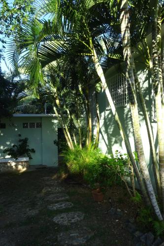 Tranquility by the Sea