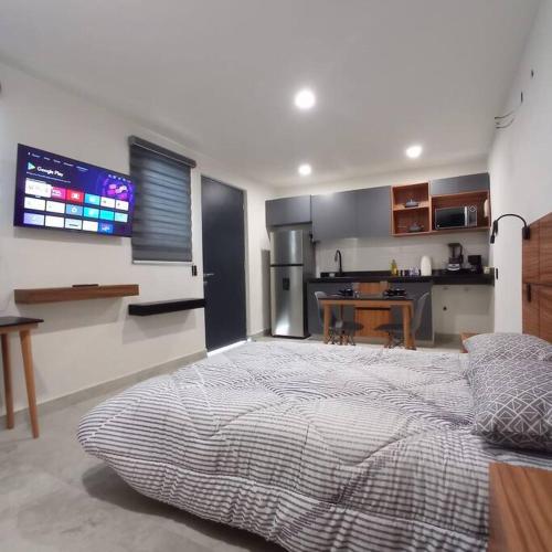 Loft Moderno cochera techada y portón in Sofía, Mexico