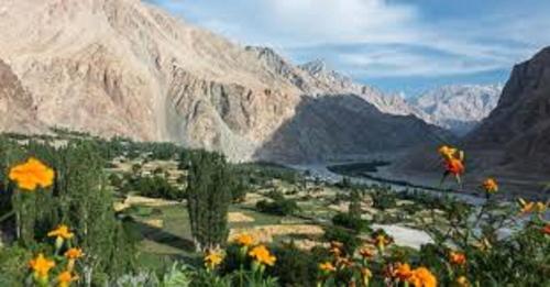Заобикаляща среда, The Sky Desert ,Hunder , Nubra in Nubra Valley