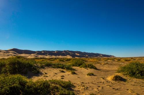 Surrounding environment, UB Guesthouse & Tours - not for locals in Ulaanbaatar